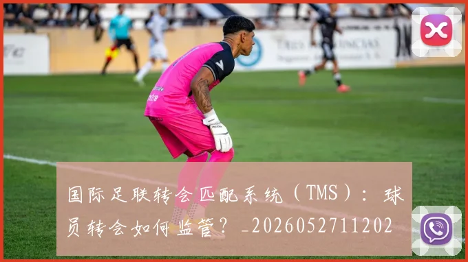国际足联转会匹配系统（TMS）：球员转会如何监管？_20260527112023