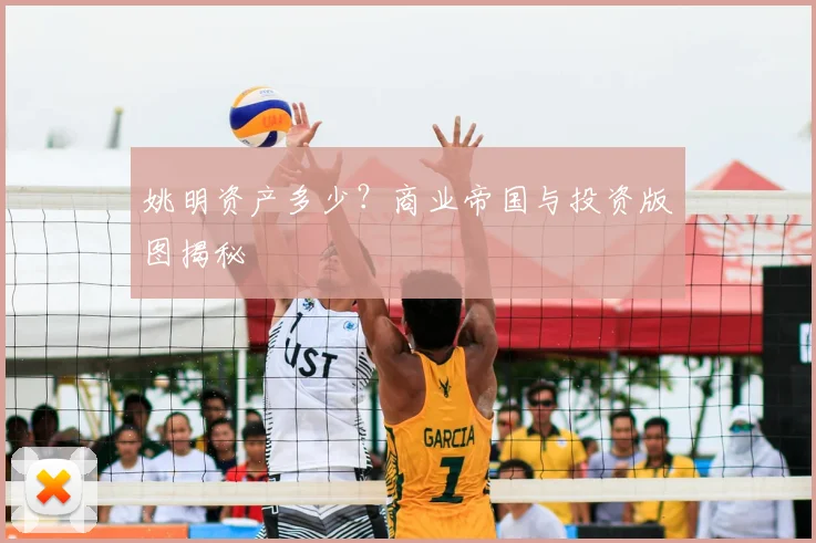 姚明资产多少？商业帝国与投资版图揭秘